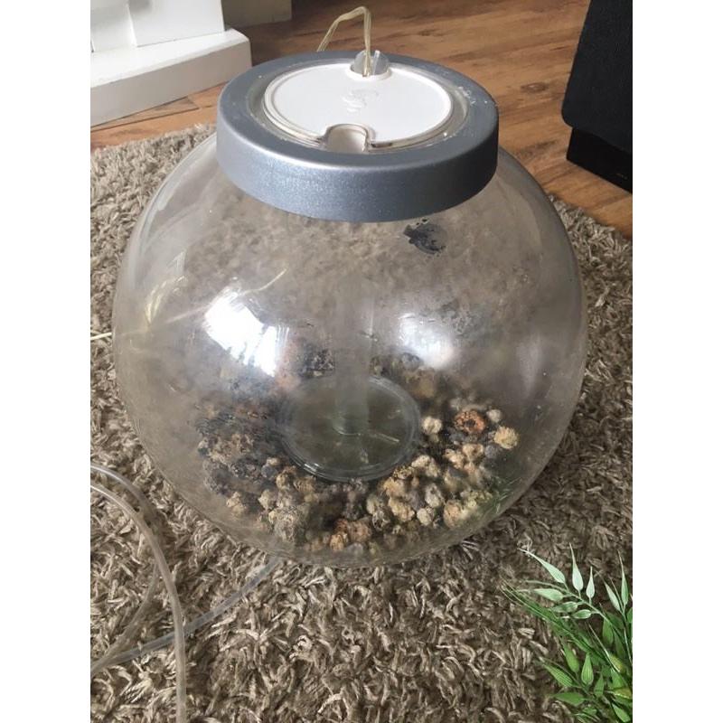 Fish tank