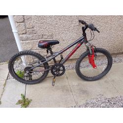 Kids mountain bike with Spider decals
