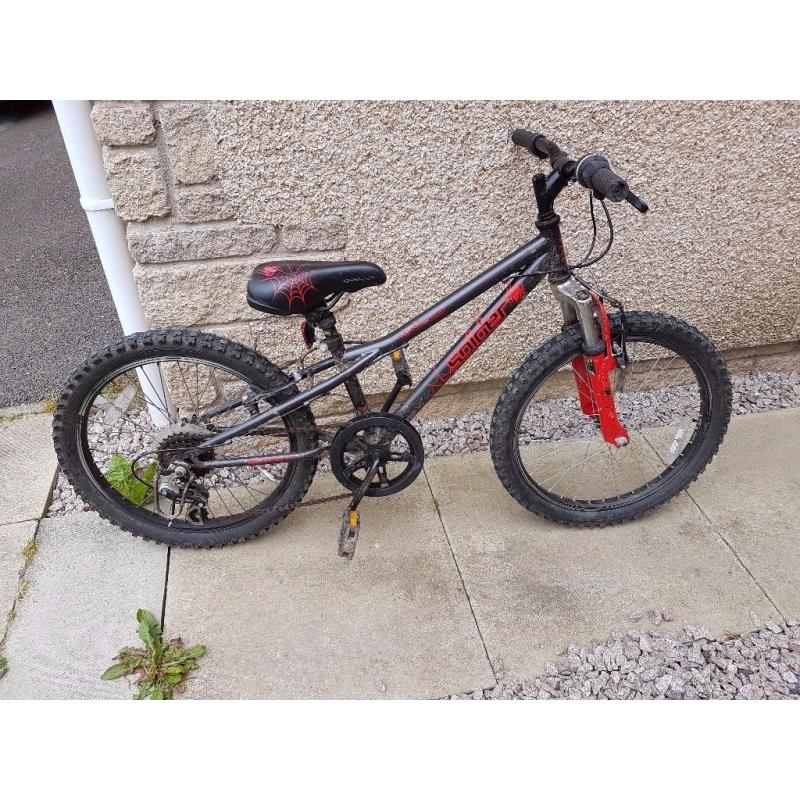 Kids mountain bike with Spider decals