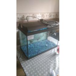 2ft fish tank aquairum