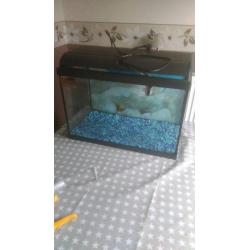 2ft fish tank aquairum