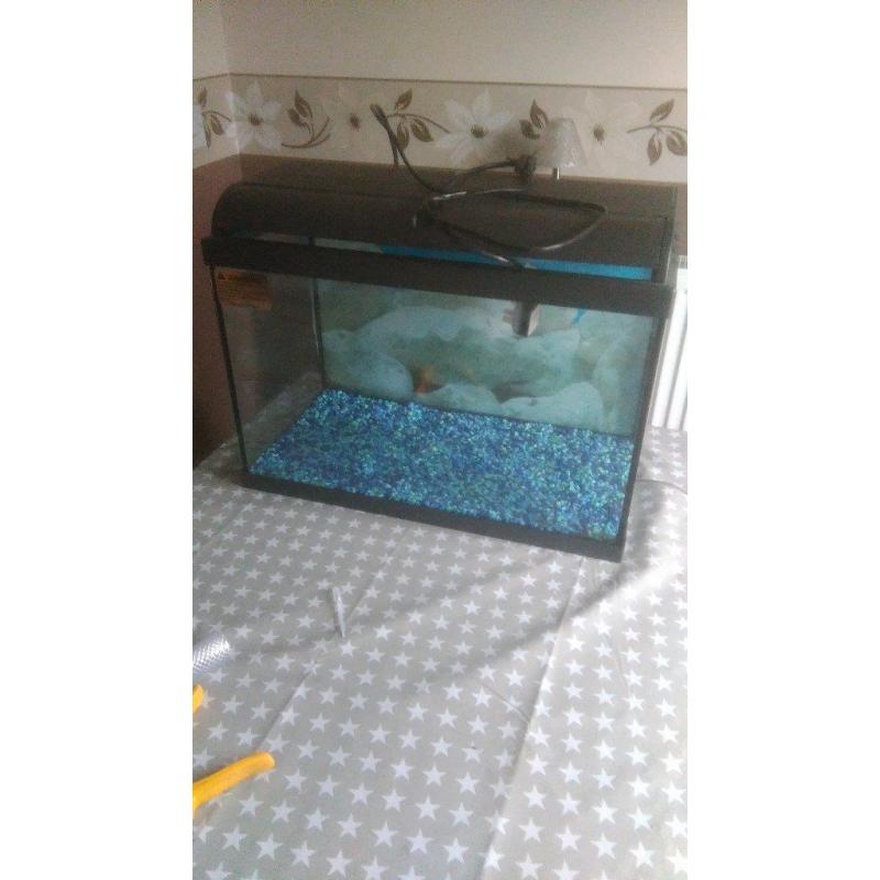 2ft fish tank aquairum