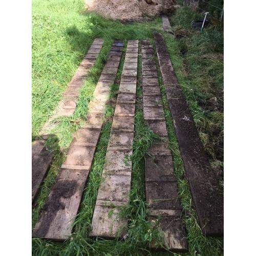 Planks