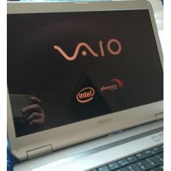 Faulty Screen - SONY VAIO VGN-NR21J Laptop