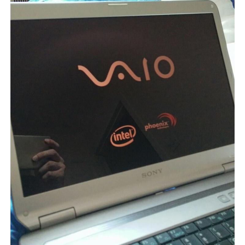 Faulty Screen - SONY VAIO VGN-NR21J Laptop
