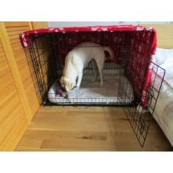 Large Dog Cage/Crate