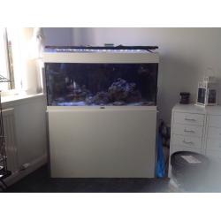 Fish tank