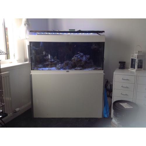Fish tank