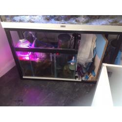 Fish tank