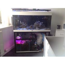 Fish tank