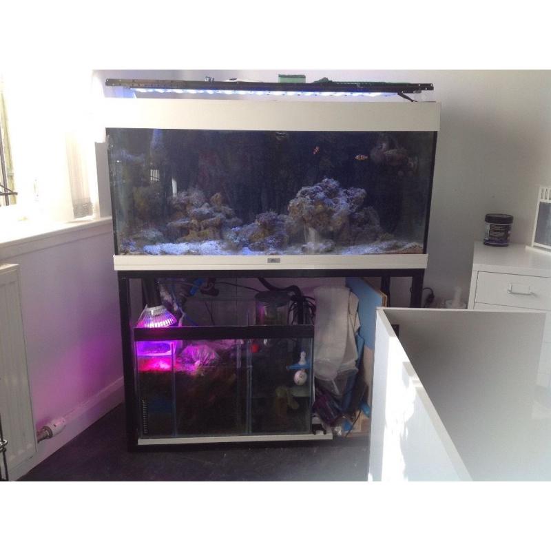 Fish tank