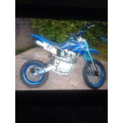 250cc adult pit bike