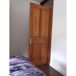 Solid door