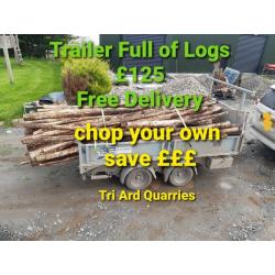 Logs fire wood trailer load ?125 save ??? cut them yourself