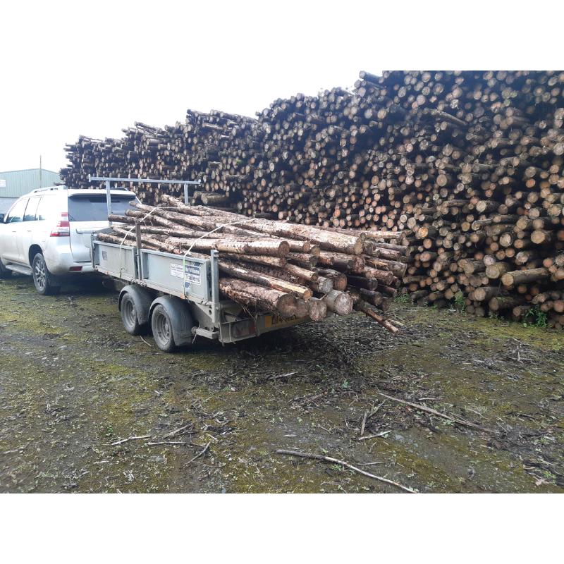Logs fire wood trailer load ?125 save ??? cut them yourself