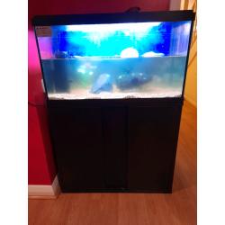 Aqua topic 110 led aquarium