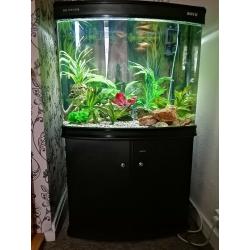 Boyu fishtank ?200 ono