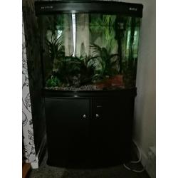 Boyu fishtank ?200 ono