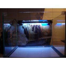 Used Fish R Fun Aquarium Starter Tank
