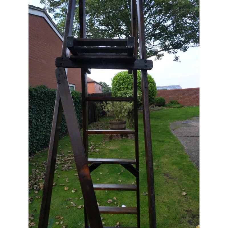Vintage step Ladders