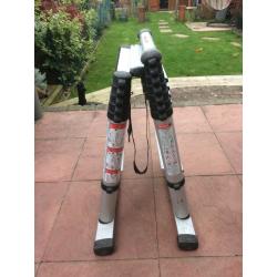 Adjustable A frame ladder, TELESTEPS