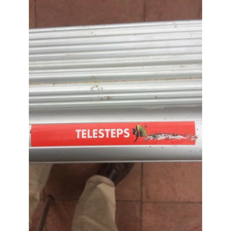 Adjustable A frame ladder, TELESTEPS