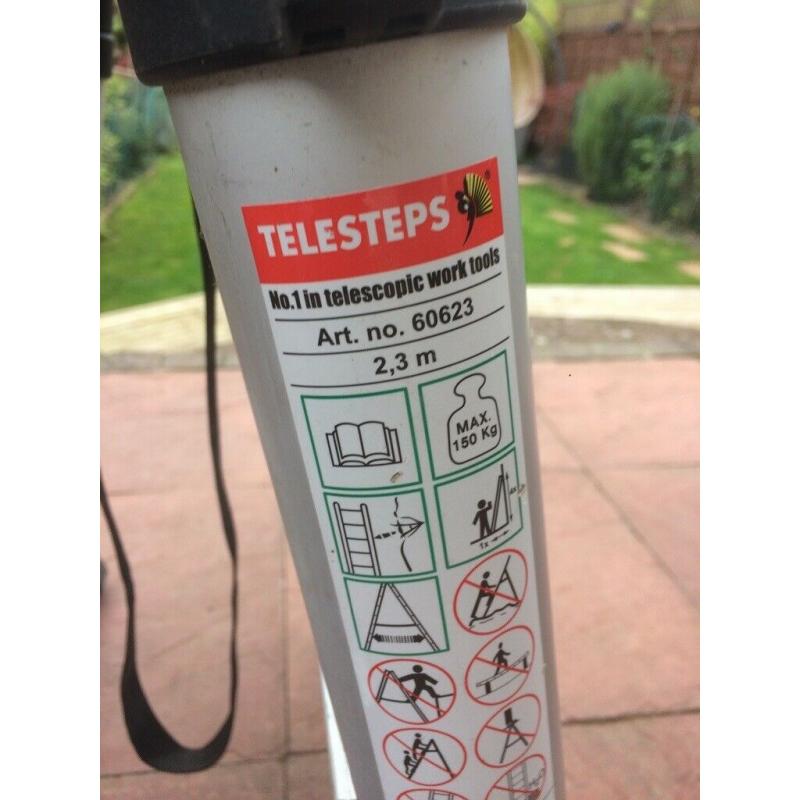 Adjustable A frame ladder, TELESTEPS