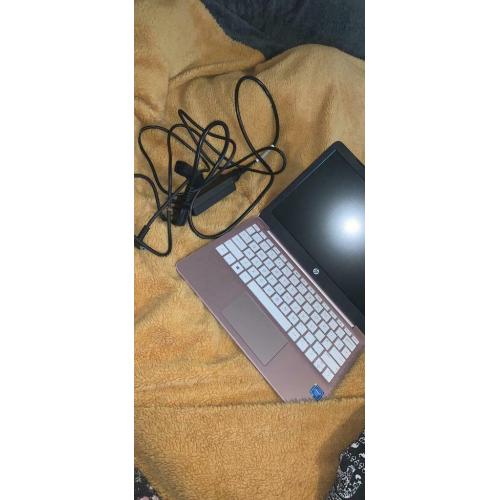 HP steam laptop