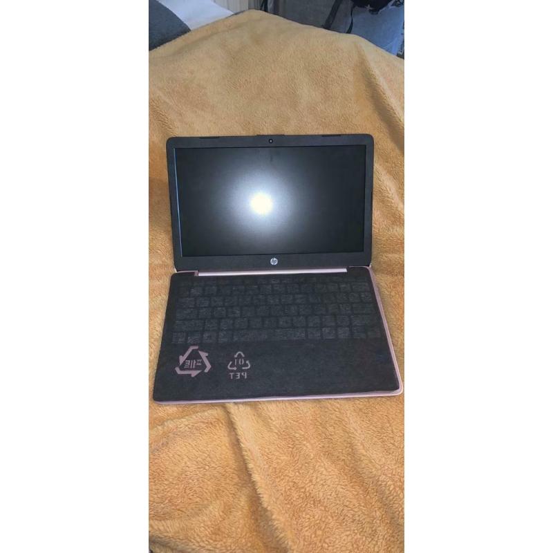 HP steam laptop