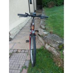 Raleigh Sport Bike.