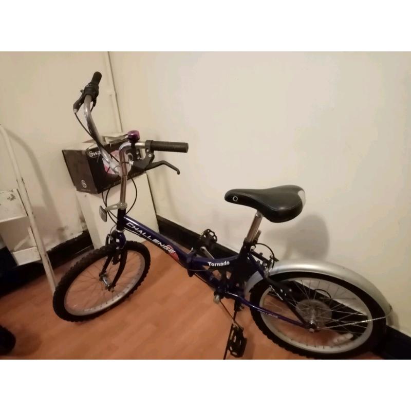 Folding bike