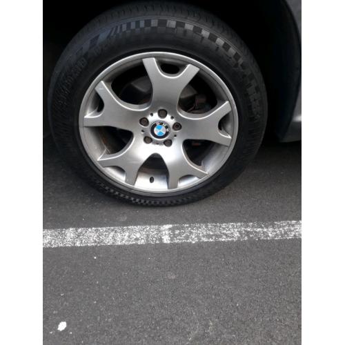 Tiger claws bmw