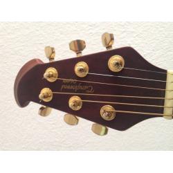 Tanglewood Electric / Accoustic Guitar