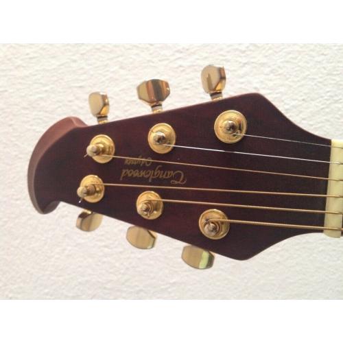 Tanglewood Electric / Accoustic Guitar