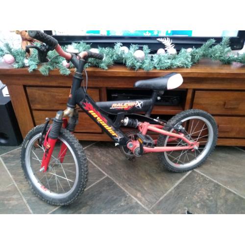 Free Raleigh kids suspension bike