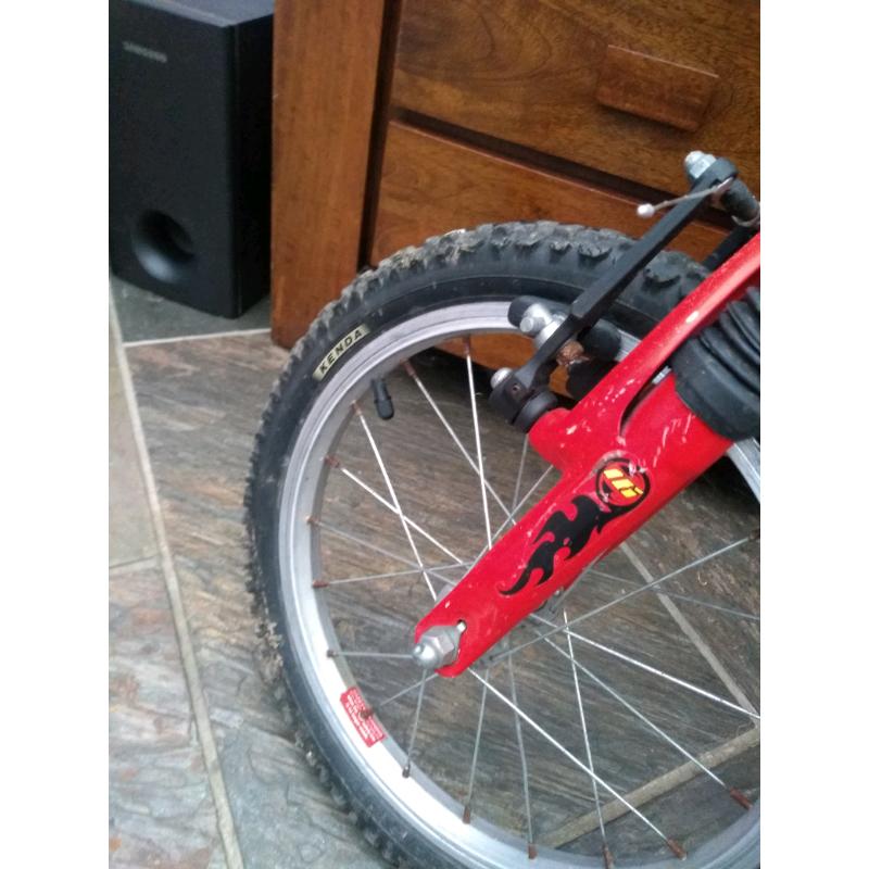 Free Raleigh kids suspension bike
