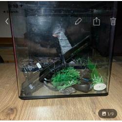 Aqua one aspire fish tank 22l