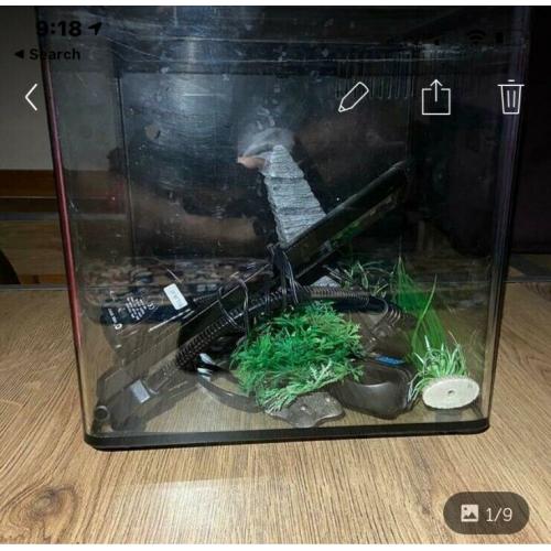 Aqua one aspire fish tank 22l