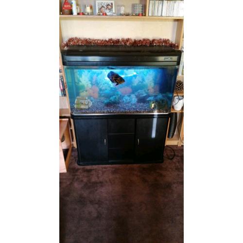 Tropical fishtank with stand and accessories