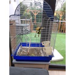 Canary and Cage