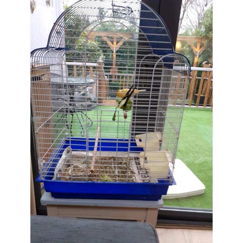 Canary and Cage