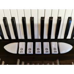 Sonola R20, 3 Voice (LMM), 72 Bass, Piano Accordion. Online Lessons Available.