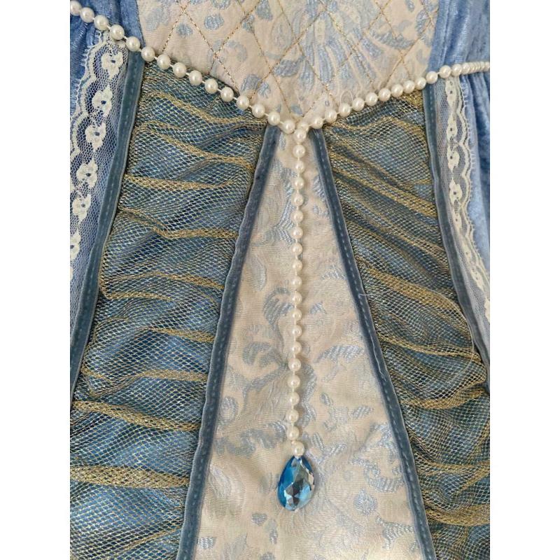 Queen or princess blue fancy dress age 9-10 years