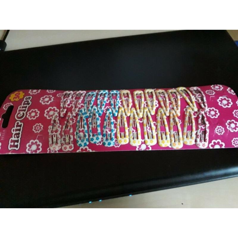 Hair Clips (24)