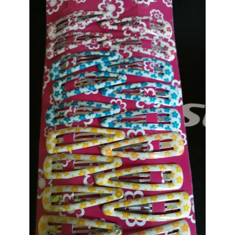 Hair Clips (24)