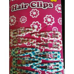 Hair Clips (24)