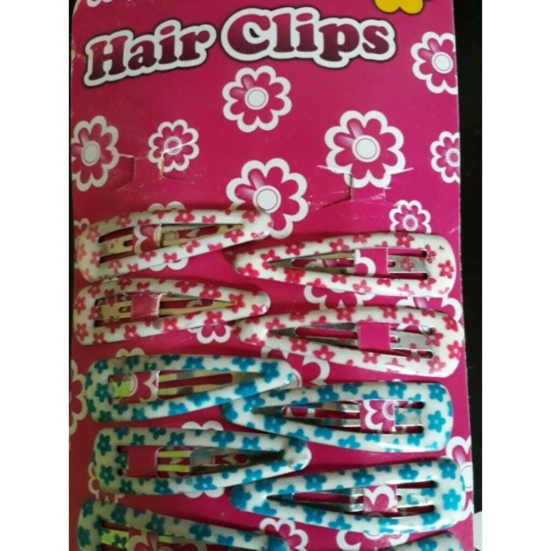 Hair Clips (24)