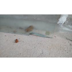 3 x Etched/Privacy Glass Panels - Mixed Sizes