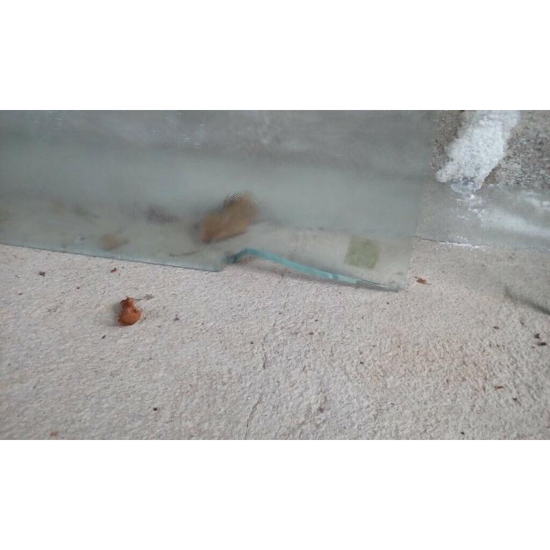 3 x Etched/Privacy Glass Panels - Mixed Sizes