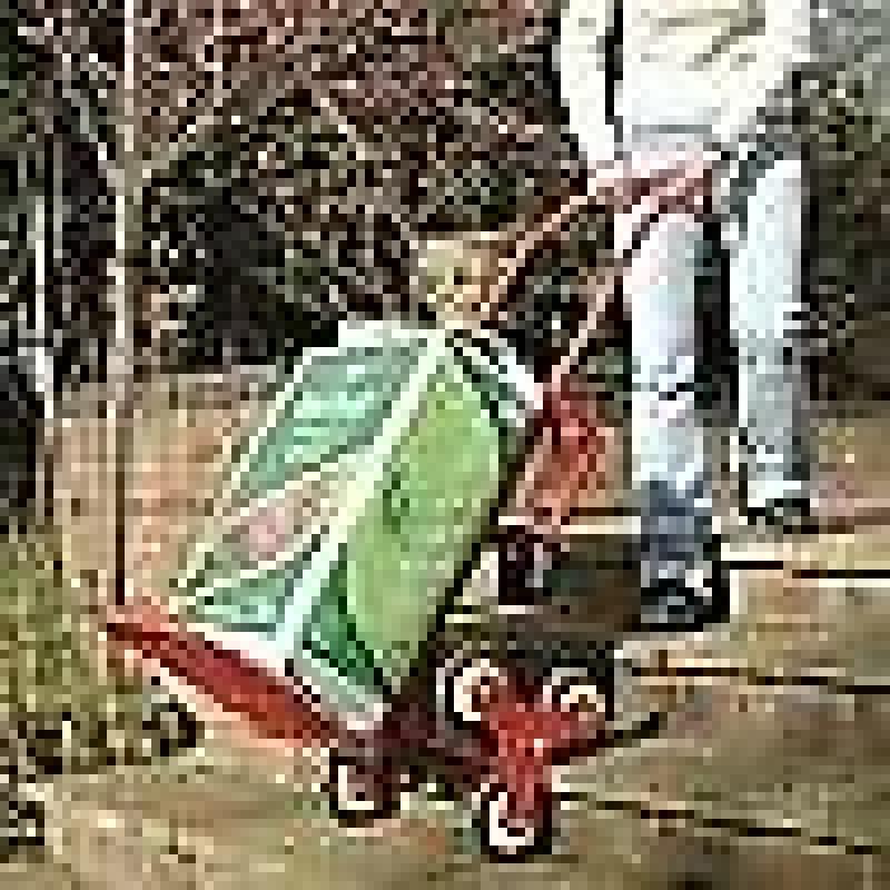 Large 2-in-1 Tri-Wheel Trolley and Flat-Bed Cart